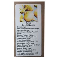 6 Degrees East Heirloom Veg Seeds - Turnip - Cavolo Navone - Yellow & Green